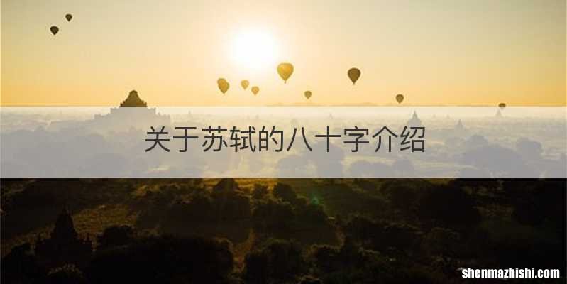 关于苏轼的八十字介绍
