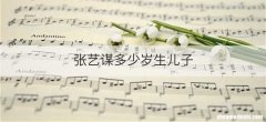 张艺谋多少岁生儿子