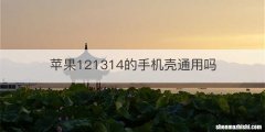 苹果121314的手机壳通用吗
