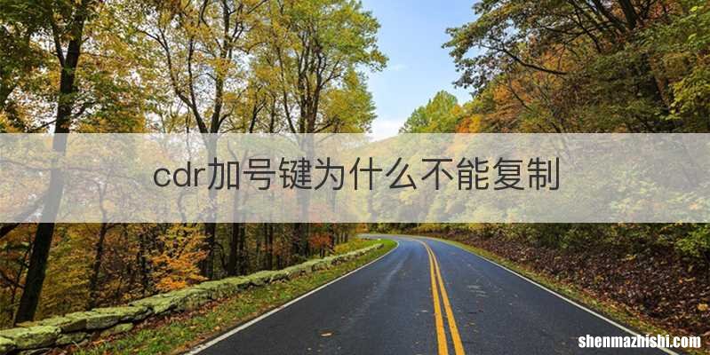 cdr加号键为什么不能复制