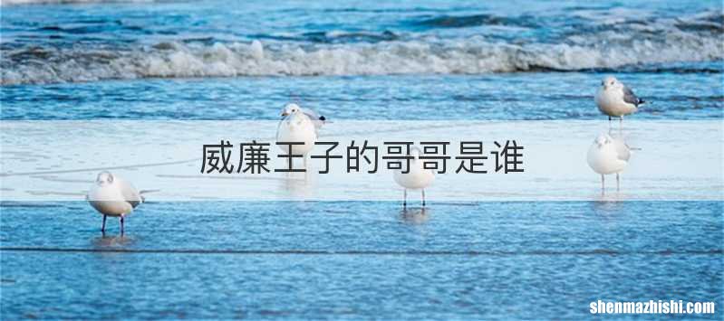 威廉王子的哥哥是谁