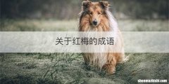关于红梅的成语