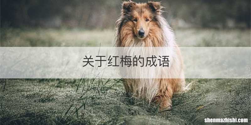 关于红梅的成语