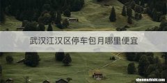 武汉江汉区停车包月哪里便宜
