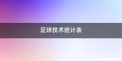 足球技术统计表