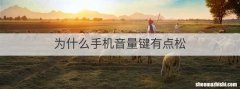 为什么手机音量键有点松