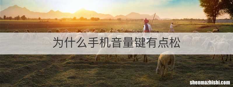 为什么手机音量键有点松