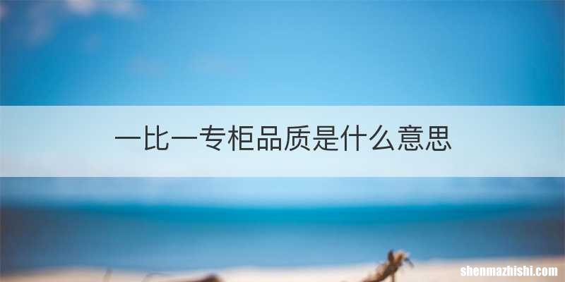 一比一专柜品质是什么意思