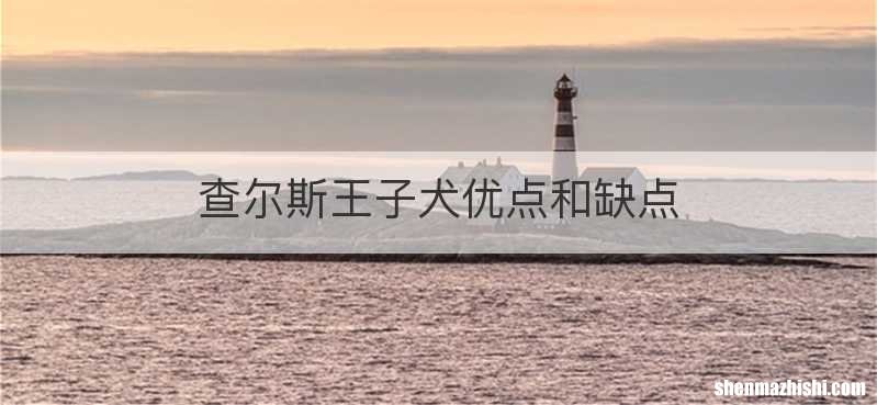 查尔斯王子犬优点和缺点