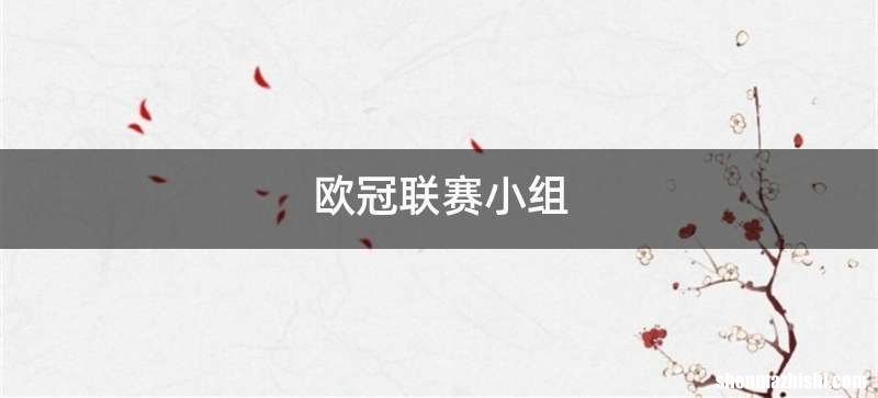 欧冠联赛小组