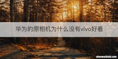 华为的原相机为什么没有vivo好看