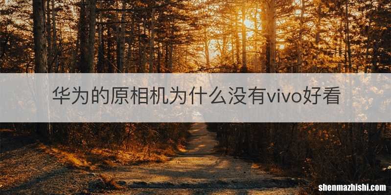 华为的原相机为什么没有vivo好看