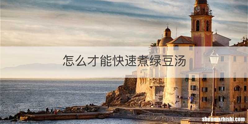 怎么才能快速煮绿豆汤