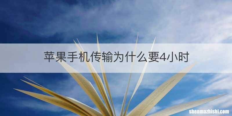 苹果手机传输为什么要4小时