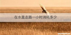 在水里走路一小时消耗多少