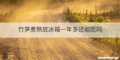 竹笋煮熟放冰箱一年多还能吃吗