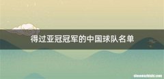 得过亚冠冠军的中国球队名单