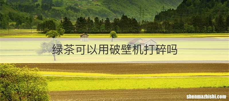 绿茶可以用破壁机打碎吗