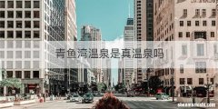 青鱼湾温泉是真温泉吗