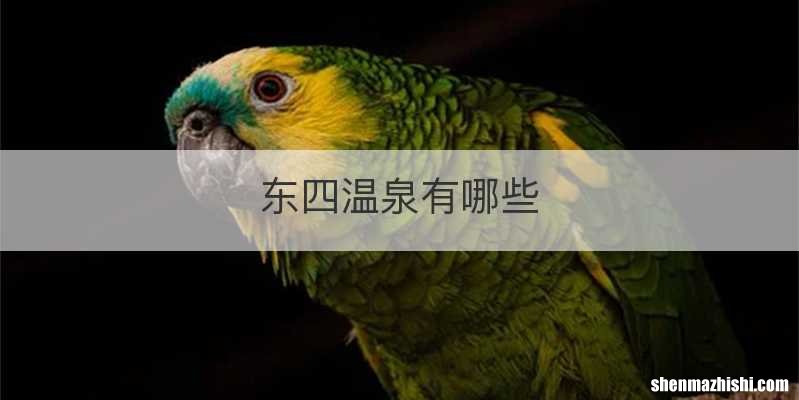 东四温泉有哪些