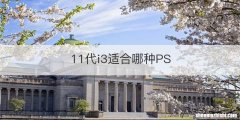 11代i3适合哪种PS