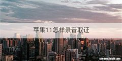 苹果11怎样录音取证
