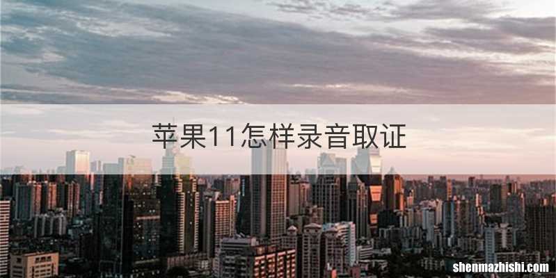 苹果11怎样录音取证
