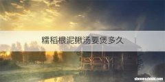 糯稻根泥鳅汤要煲多久