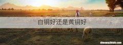 白铜好还是黄铜好