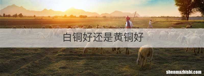 白铜好还是黄铜好