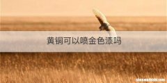 黄铜可以喷金色漆吗