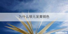 为什么银元发黄铜色