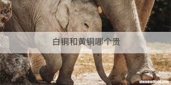 白铜和黄铜哪个贵