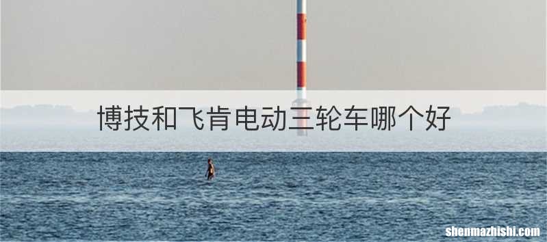 博技和飞肯电动三轮车哪个好
