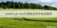 realme gt neo闪速版没有充电动画吗