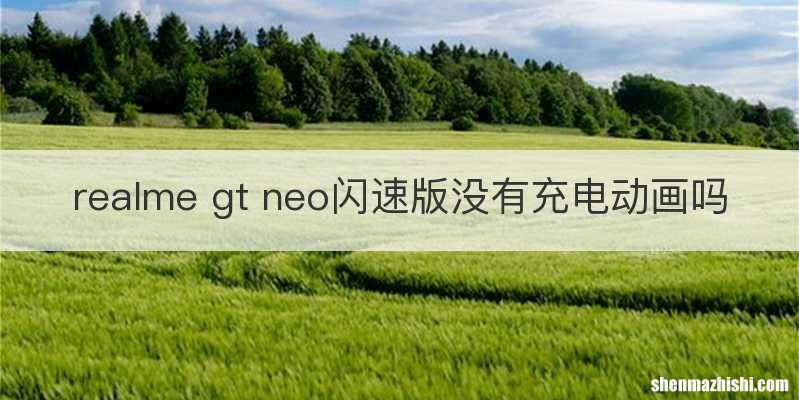 realme gt neo闪速版没有充电动画吗
