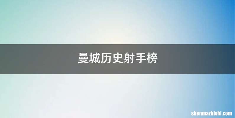曼城历史射手榜