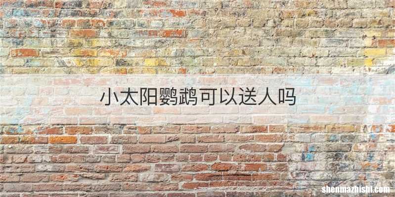 小太阳鹦鹉可以送人吗