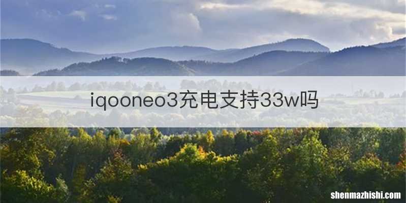 iqooneo3充电支持33w吗
