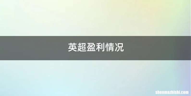 英超盈利情况