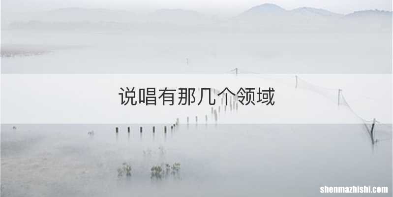 说唱有那几个领域