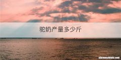 驼奶产量多少斤
