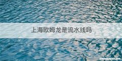 上海欧姆龙是流水线吗