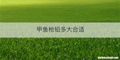 甲鱼枪铅多大合适