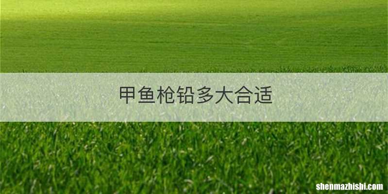 甲鱼枪铅多大合适