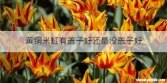 黄铜米缸有盖子好还是没盖子好