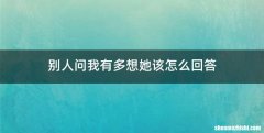 别人问我有多想她该怎么回答