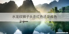 水龙纹狮子头走红色还是酱色