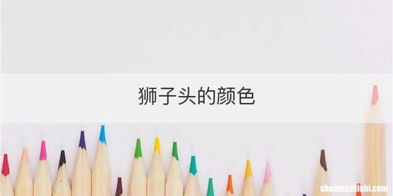狮子头的颜色
