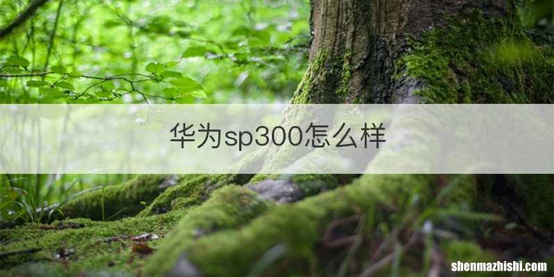 华为sp300怎么样